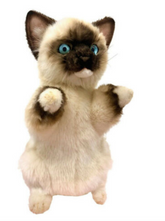 Ragdoll Cat Hand Puppet Hansa